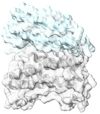 Immunordic - Minibinders at Scale, Nanobodies on Demand