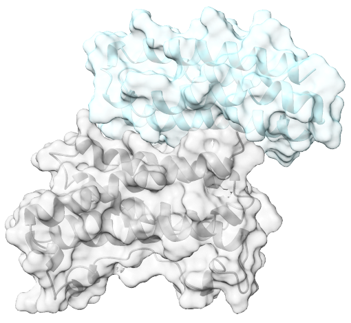 Immunordic - Minibinders at Scale, Nanobodies on Demand