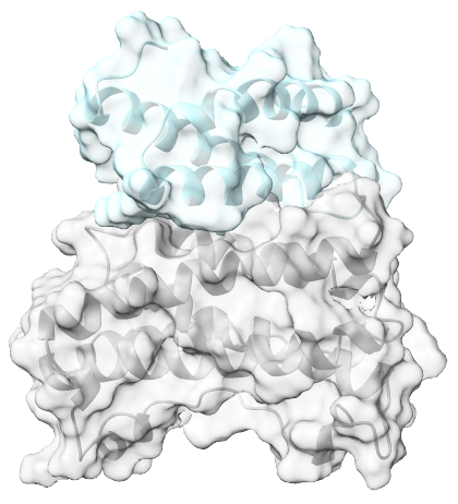 Immunordic - Minibinders at Scale, Nanobodies on Demand