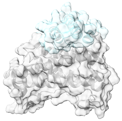 Immunordic - Minibinders at Scale, Nanobodies on Demand